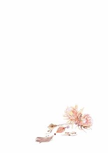 求黄子韬举牌素材哪里有?