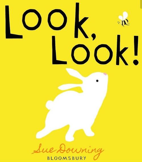 look是什么意思，lock是什么意思