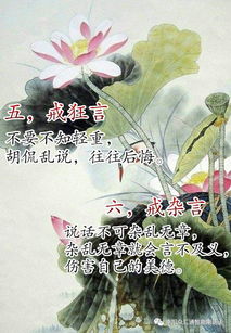 言不及义的意思和拼音是什么