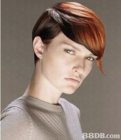 发型设计师，发型设计师英文