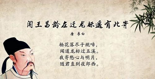 “随君直到夜郎西”的上一句是什么?