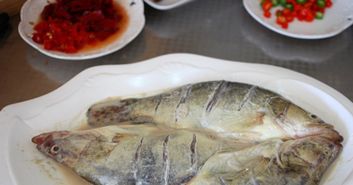 臭鳜鱼为什么臭，臭鳜鱼为什么臭是什么霉菌