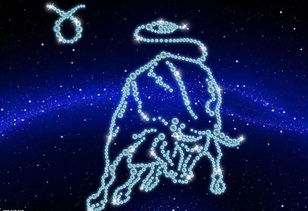 金牛座和双鱼座