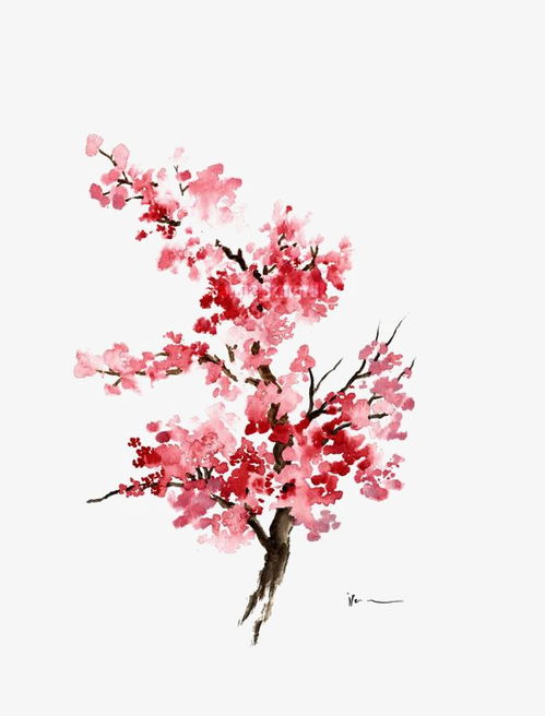 梅花树，梅花树简笔画