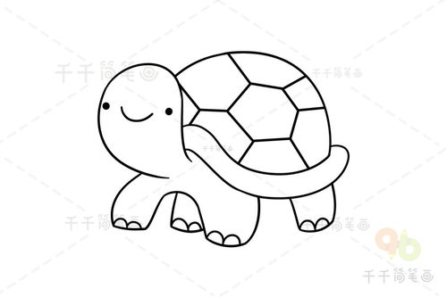 乌龟怎么画，乌龟怎么画简单又可爱