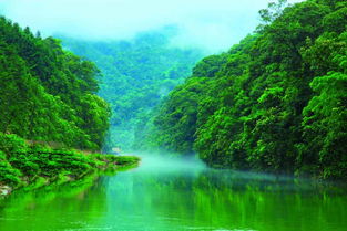湖南郴州有那些旅游景点