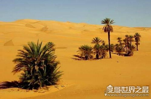 澳大利亚沙漠占国土的百分之多少?