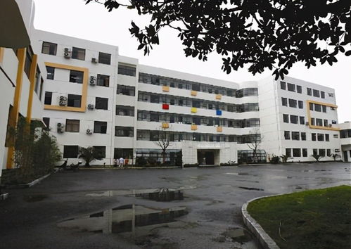 徐汇区招生办，徐汇区招生办地址在哪里