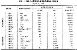什么叫矿质元素?