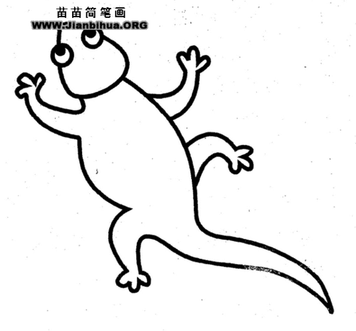 壁虎简笔画，壁虎简笔画彩色