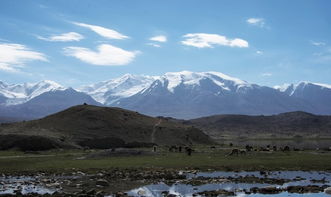 新疆的南疆和北疆分别指哪?