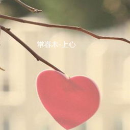 求歌曲《上心》的歌词?