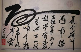 独出心裁的意思