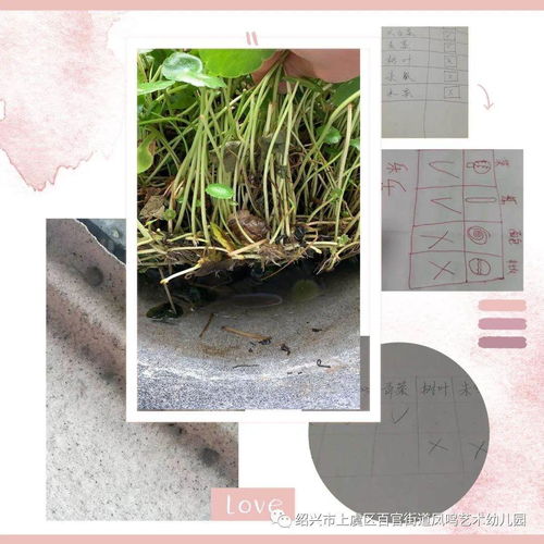 蜗牛的特点和生活特征，蜗牛的特点和生活特征作文300字
