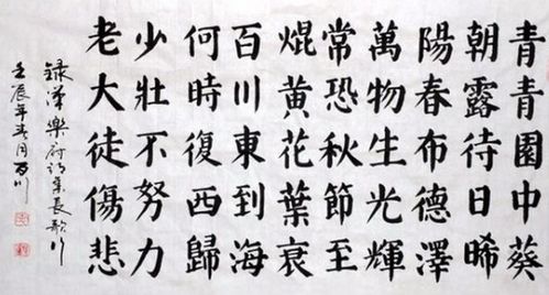 古诗 长歌行 怎么读
