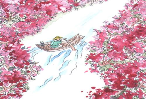 桃花源记的古今异义词有哪些?