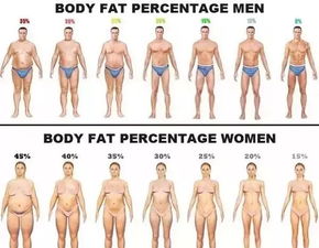 怎么测体脂 测体脂率的方法