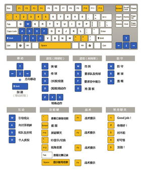 自由篮球交易吧，自由篮球交易吧百度贴吧