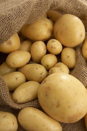 土豆的主要营养成分是什么?