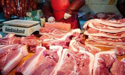 包饺子哪个部位的猪肉好