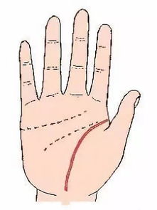 手纹乱，手纹乱代表什么男人