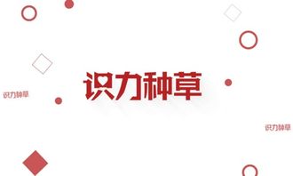 种草是什么意思网络 网络种草是什么意思