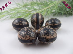 菩提子都有哪几种 菩提子都有哪些