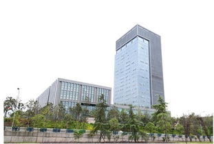东方嘉盛，东方嘉盛孙卫平