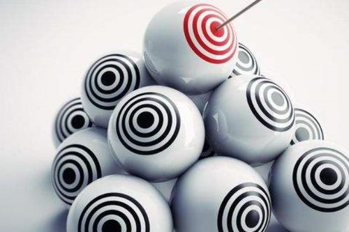 purpose怎么读 purpose解释