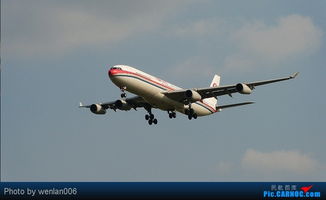 请问谁知道怎么乘坐中国东航航班,怎么在线选座?