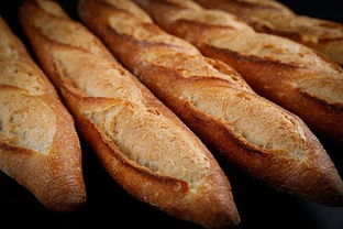 烘烤的意思，烘烤的意思是什么