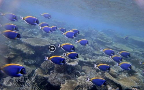 杭州的海底世界具体位置在哪里?