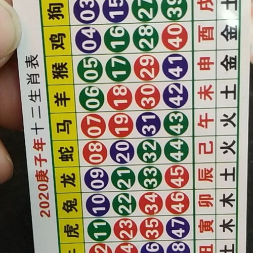 六合里是哪几个生肖