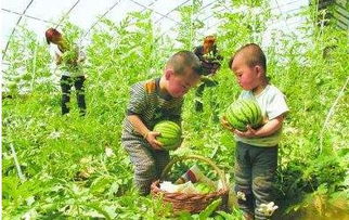 瓜娃子是什么意思?