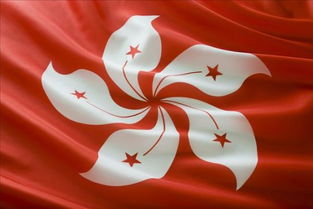 香港旗帜图片是什么花?
