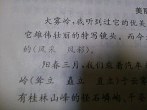 风采是什么意思