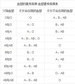 父母都是B型血儿子会是什么血型