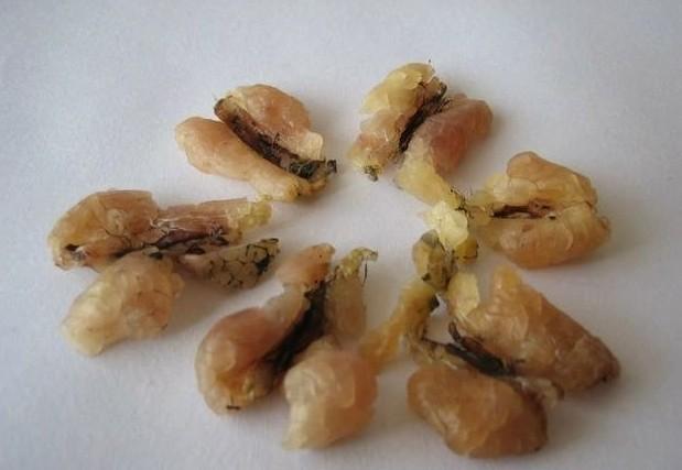 蛤蟆油怎么吃