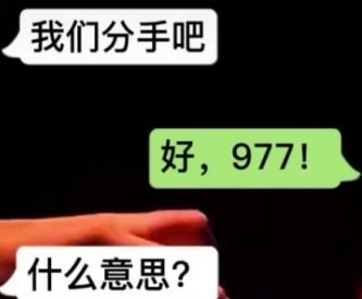 977是什么意思，99977是什么意思