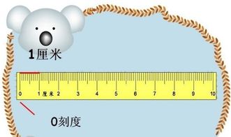请问一米等于多少公分?