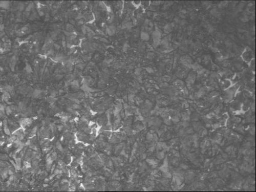 珠光体是由什么组成