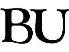 Bu什么意思