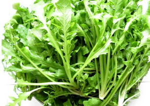 荠菜是一种我们常见的野菜,你知道荠菜的几种吃法?