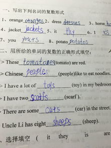 scarf的复数是什么?