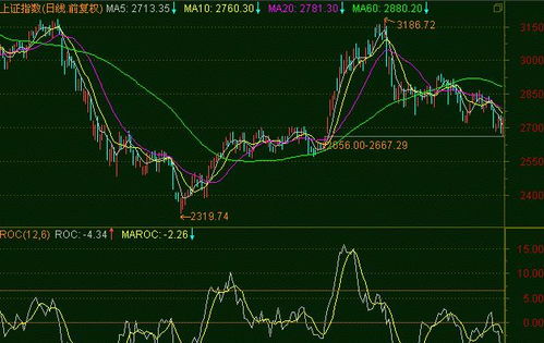 什么是roc技术指标参数?