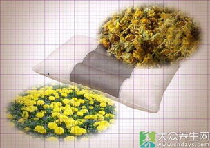 菊花可以做枕头吗 菊花枕头功效
