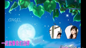 王心凌《爱你》的歌词