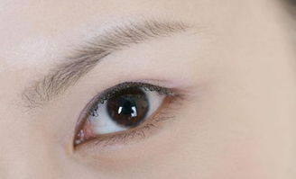 眉毛的种类，眉毛的种类男