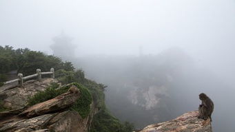 连云港花果山门票