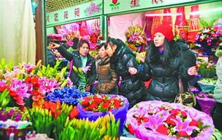 沈阳最大的花卉市场在哪里?